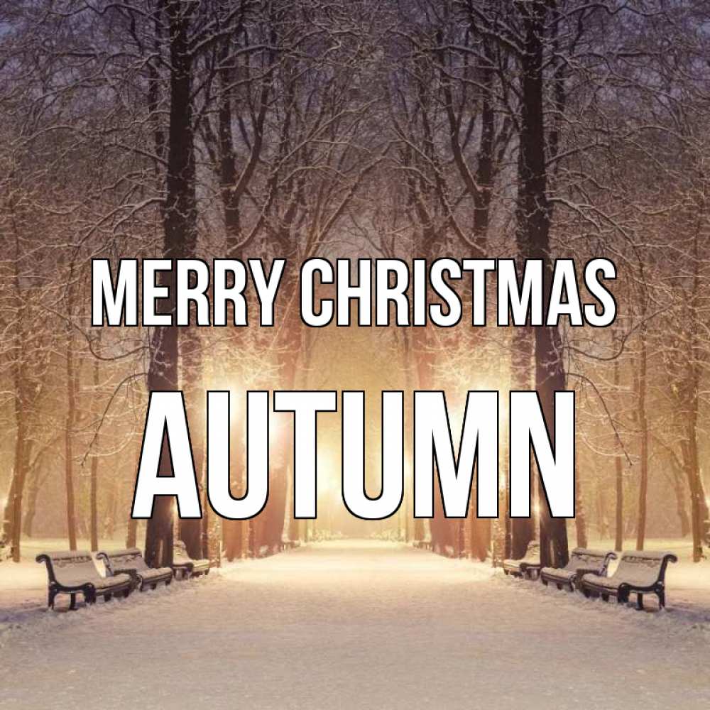 Greetings card с именем, Autumn Merry Christmas зима, парк, фонарь, лес Greetings with text for free download 