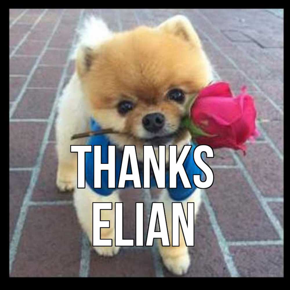 Greetings card с именем, Elian Thanks спасибо и дарю тебе цветок Greetings with text for free download 