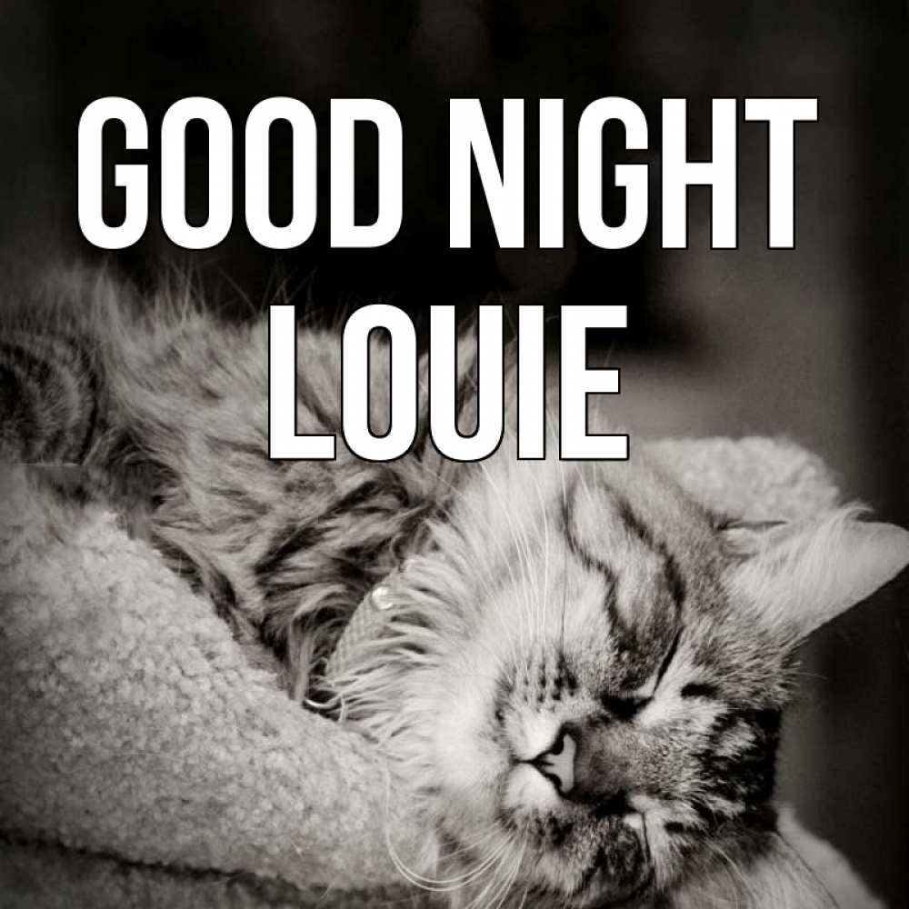 Greetings card с именем, Louie Good night котярик пушистый Greetings with text for free download 