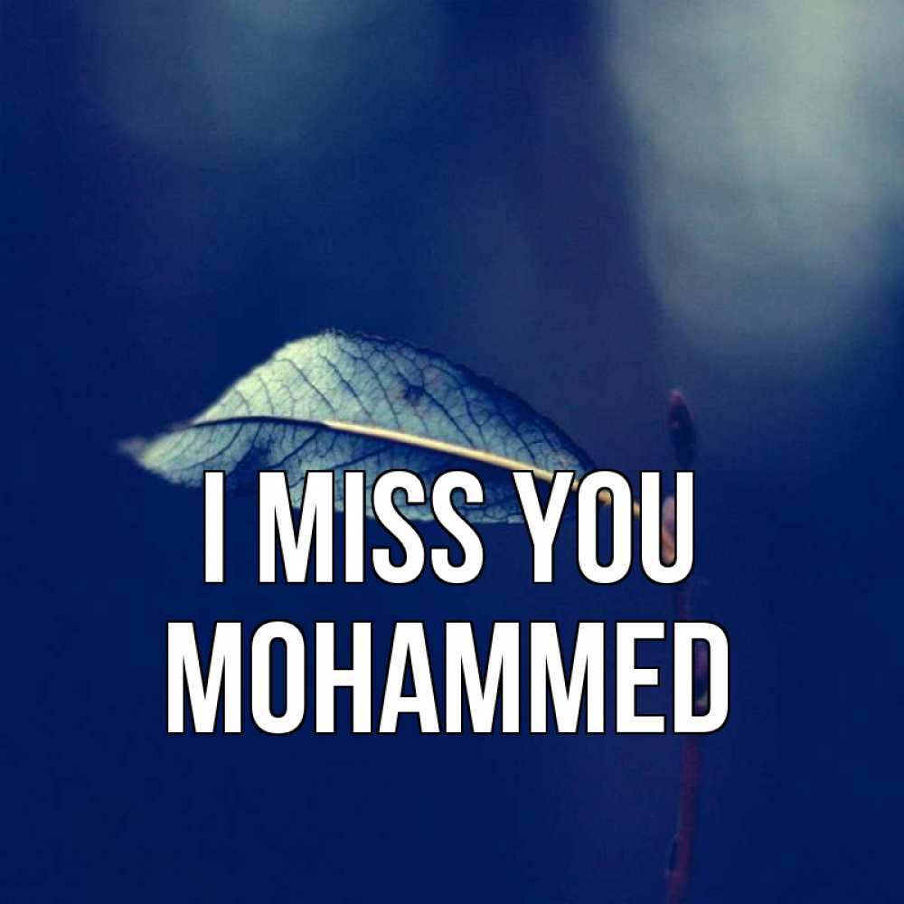 Greetings card с именем, Mohammed I miss you одна ветка 1 Greetings with text for free download 