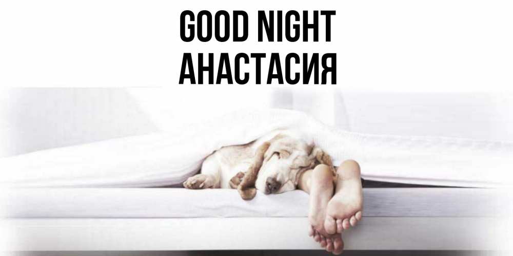 Greetings card с именем, Анастасия Good night кровать с собакой пожелание сладких снов и спокойной ночи Greetings with text for free download 