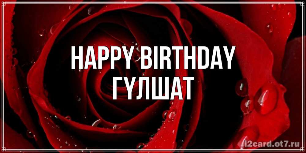 Greetings card с именем, ГҮЛШАТ Happy Birthday крупная бордовая роза Greetings with text for free download 