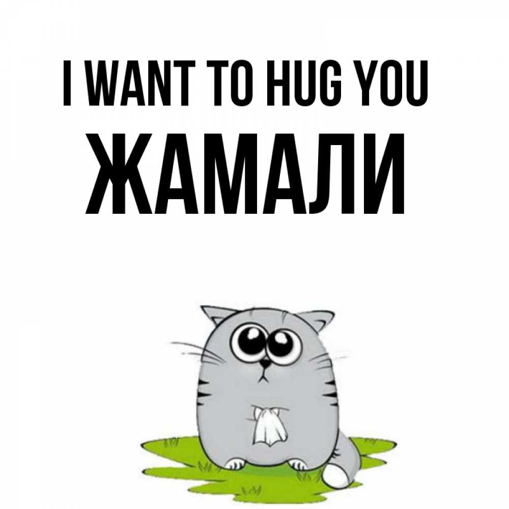 Greetings card с именем, ЖАМАЛИ I want to hug you котик теребит платочек сидя на травке Greetings with text for free download 