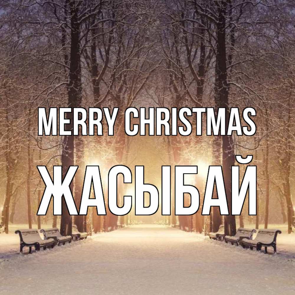 Greetings card с именем, Жасыбай Merry Christmas зима, парк, фонарь, лес Greetings with text for free download 