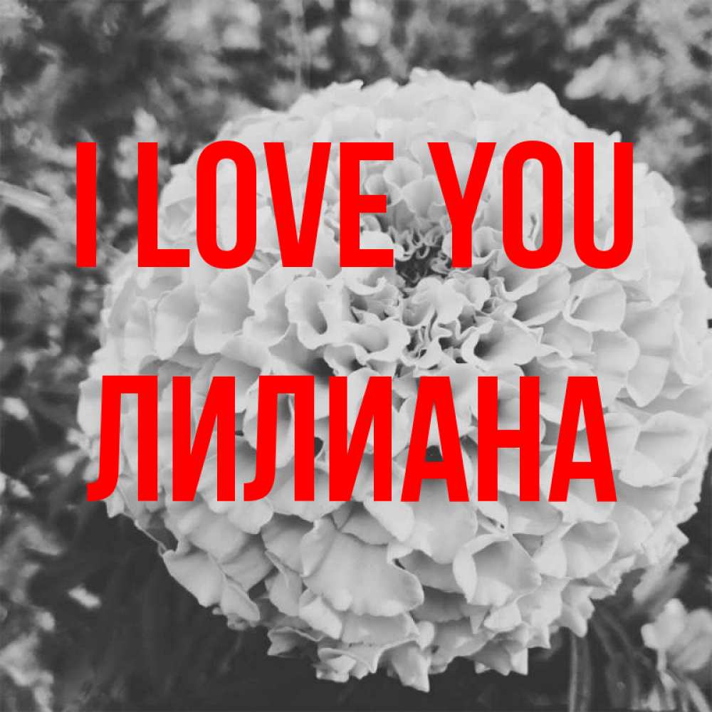 Greetings card с именем, Лилиана I love you подпись Greetings with text for free download 