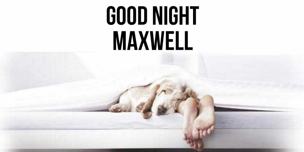 Greetings card с именем, Maxwell Good night кровать с собакой пожелание сладких снов и спокойной ночи Greetings with text for free download 