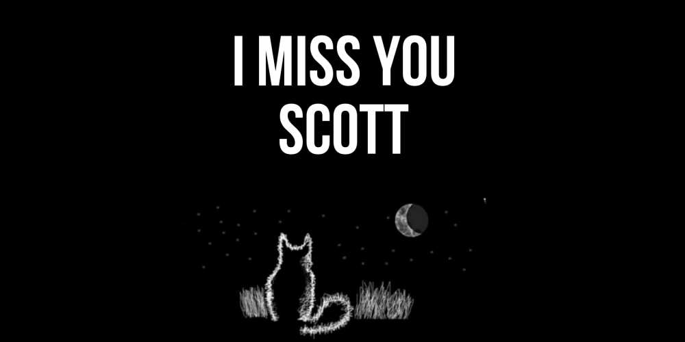 Greetings card с именем, Scott I miss you кот Greetings with text for free download 