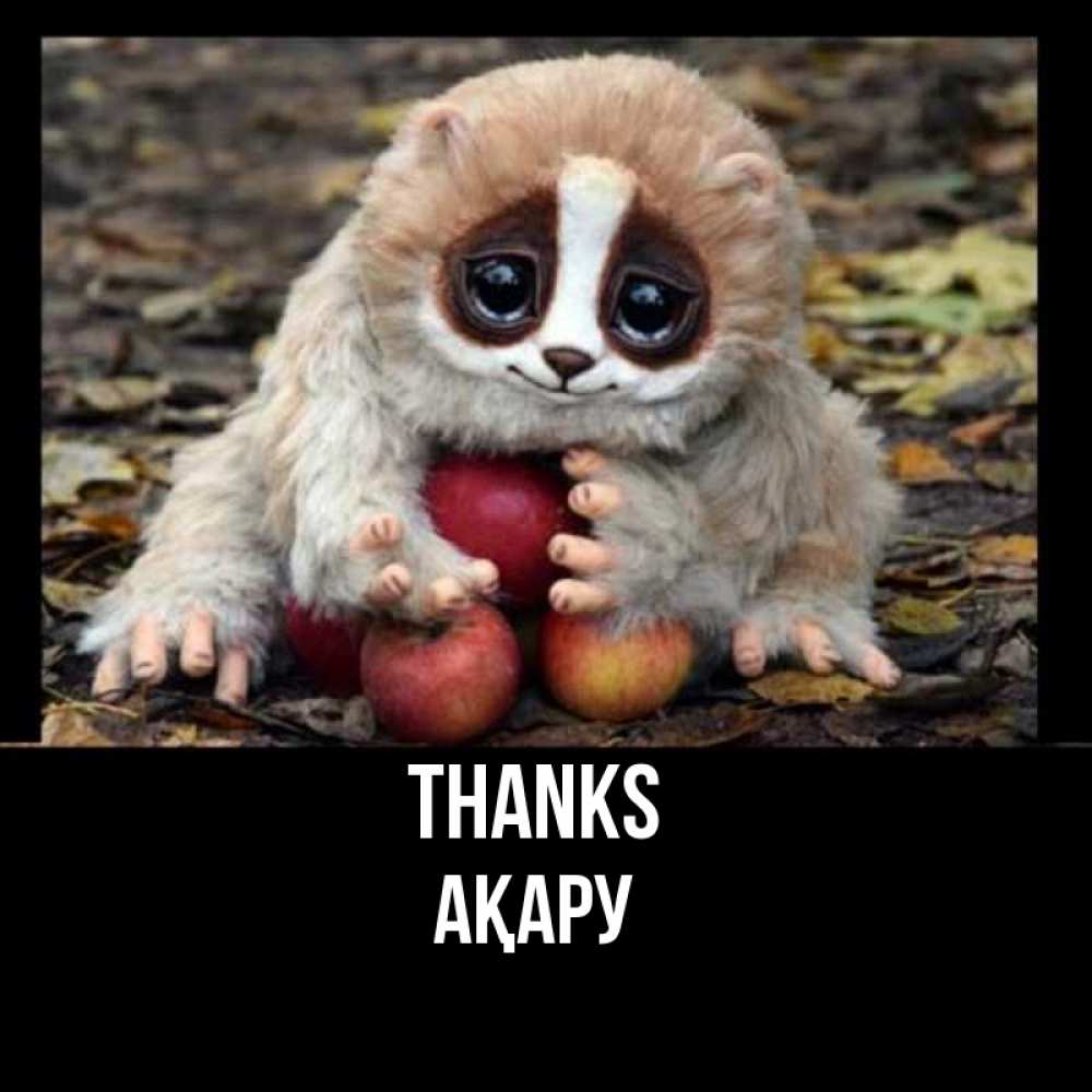 Greetings card с именем, АҚАРУ Thanks прикольное животное Greetings with text for free download 