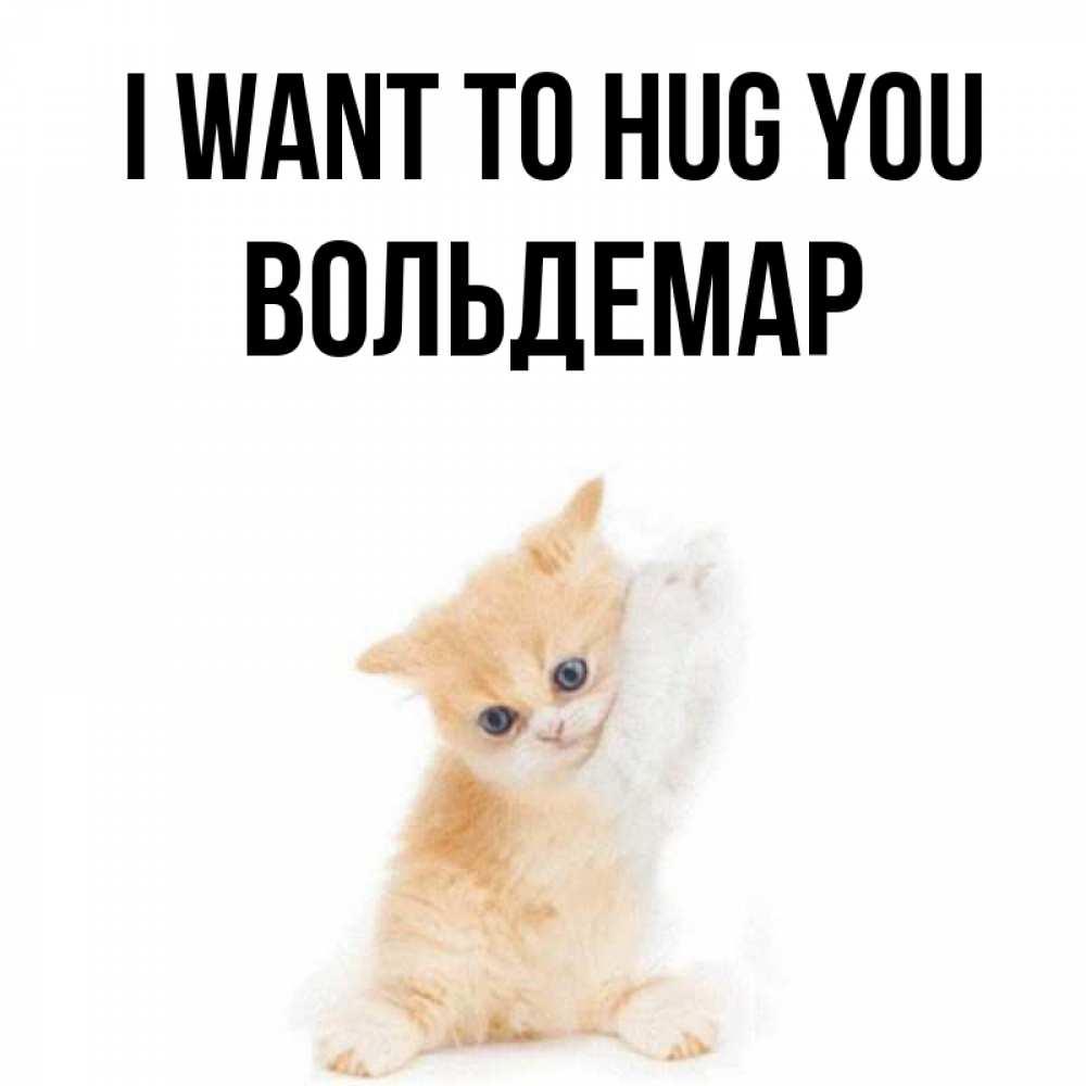 Greetings card с именем, Вольдемар I want to hug you я хочу очень скорее обнимаешек Greetings with text for free download 
