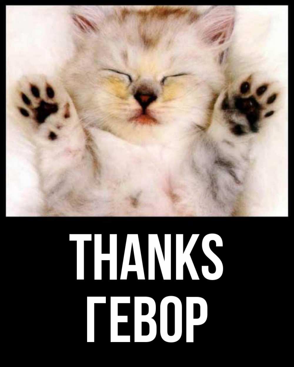 Greetings card с именем, Гевор Thanks маленький котенок Greetings with text for free download 