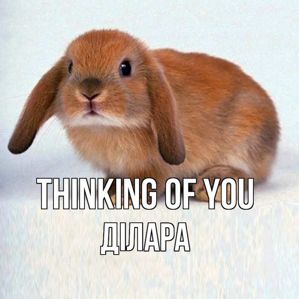 Greetings card с именем, ДІЛАРА Thinking of you кроль коричневый Greetings with text for free download 