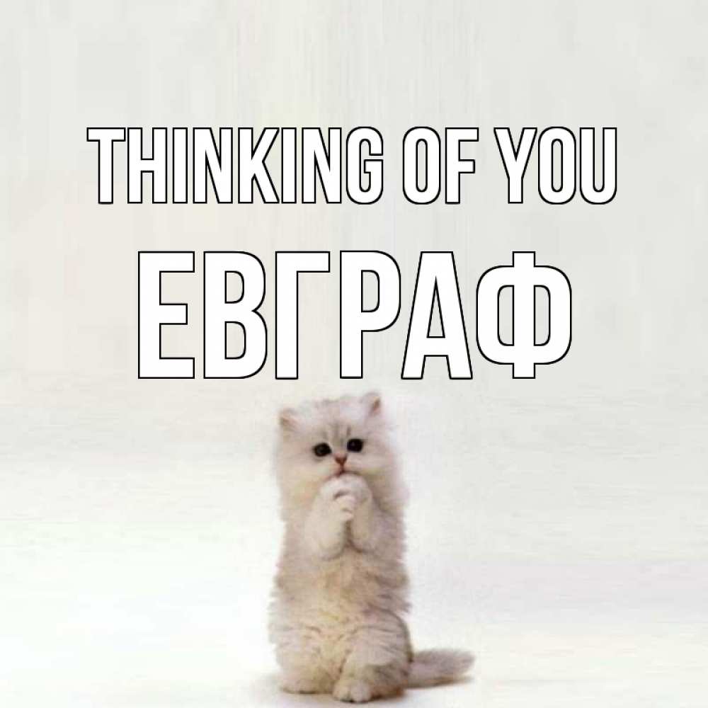 Greetings card с именем, Евграф Thinking of you кот стоит на задних лапах Greetings with text for free download 