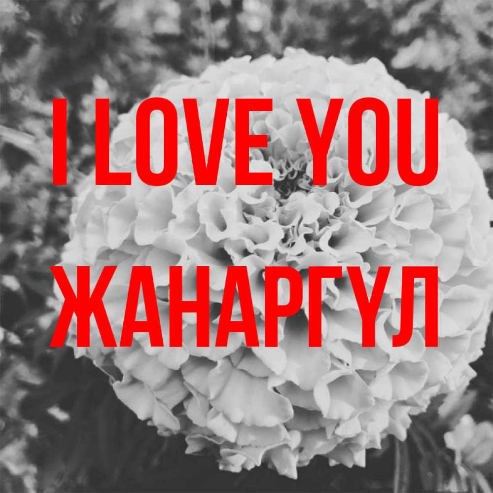 Greetings card с именем, ЖАНАРГҮЛ I love you подпись Greetings with text for free download 