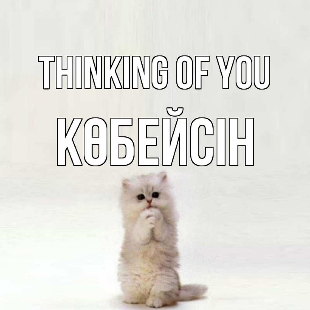 Greetings card с именем, Көбейсін Thinking of you кот стоит на задних лапах Greetings with text for free download 
