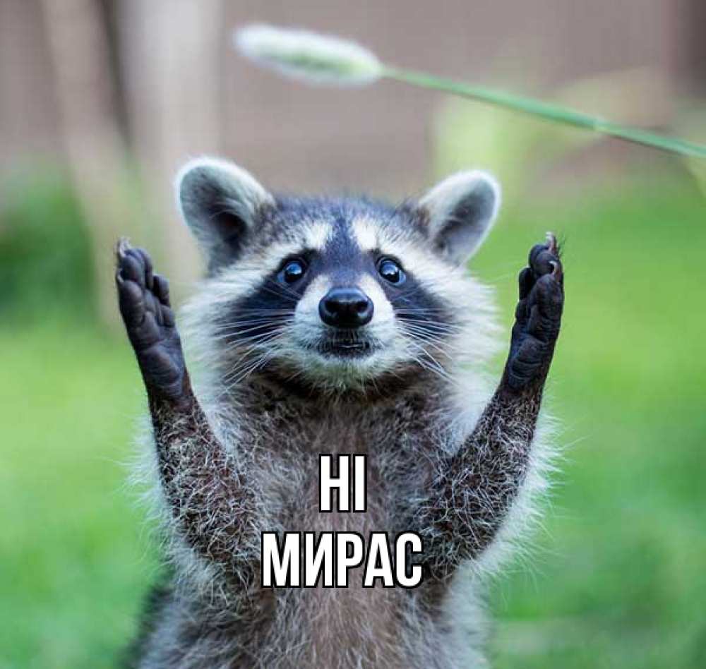 Greetings card с именем, МИРАС Hi животные Greetings with text for free download 