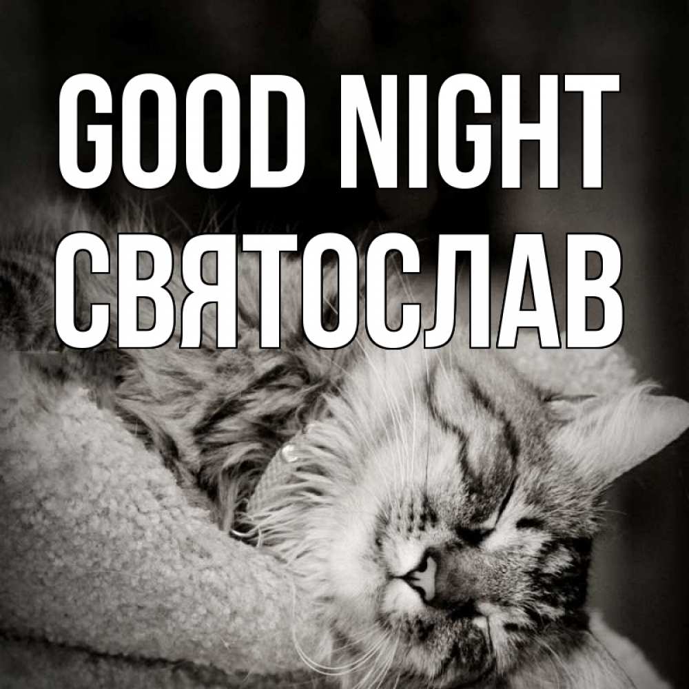 Greetings card с именем, Святослав Good night котярик пушистый Greetings with text for free download 