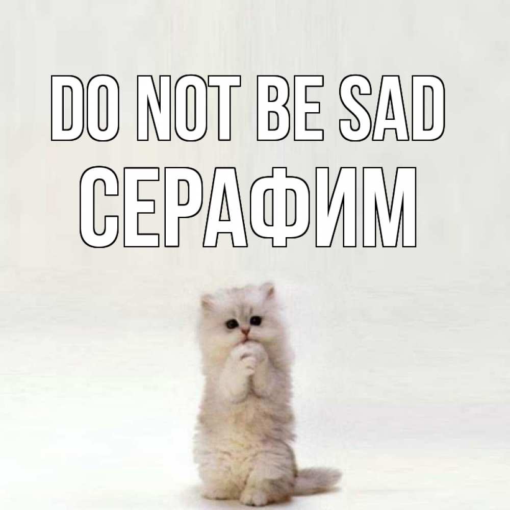 Greetings card с именем, Серафим Do not be sad грустный кот Greetings with text for free download 