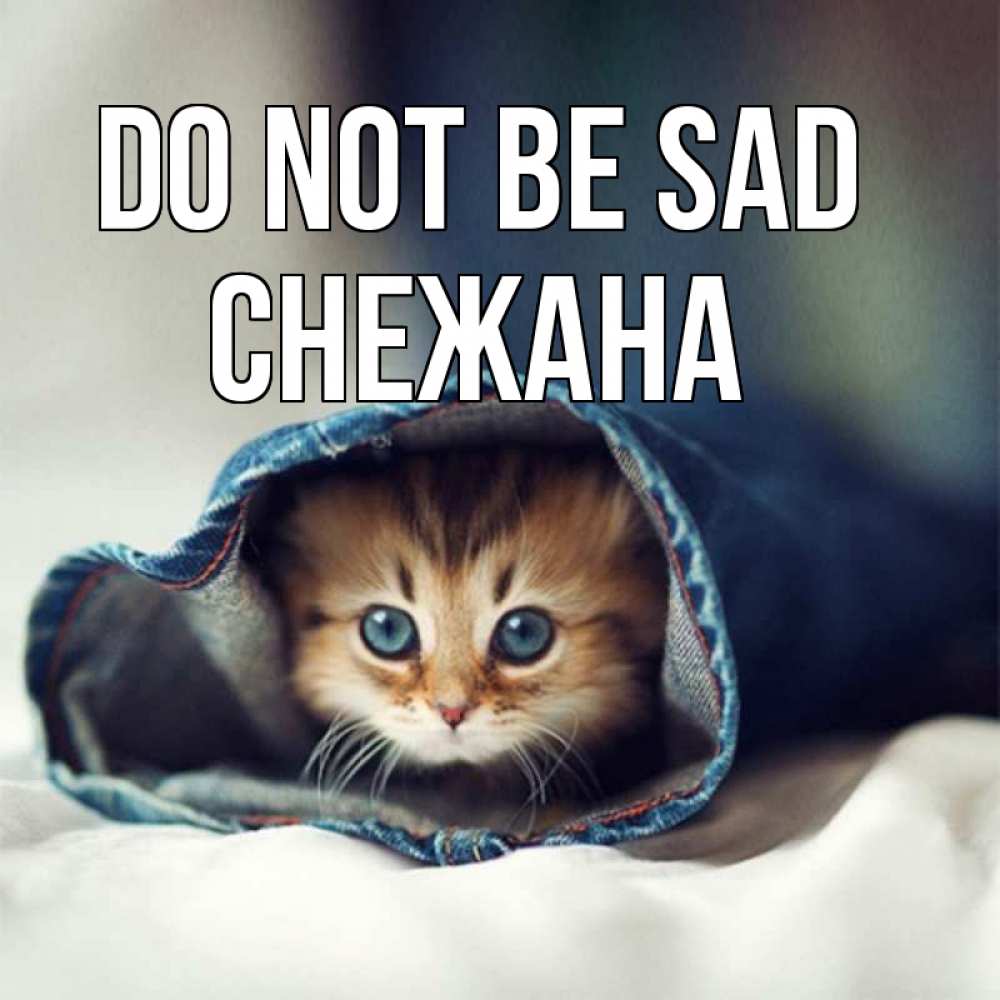 Greetings card с именем, Снежана Do not be sad рыжик котик Greetings with text for free download 