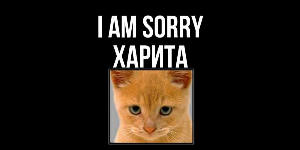 Greetings card с именем, Харита I am sorry рыжий грустный кот просит прощения Greetings with text for free download 