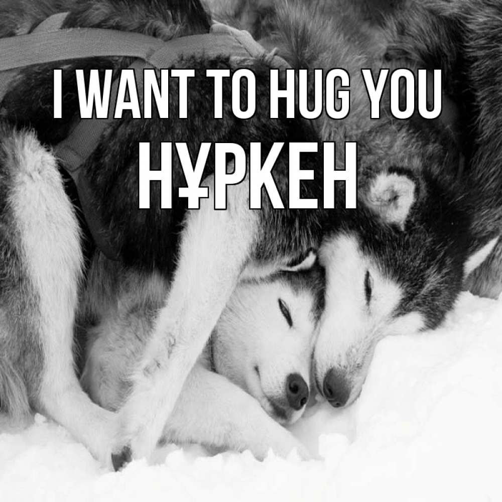 Greetings card с именем, Нұркен I want to hug you собачки в упряжке Greetings with text for free download 