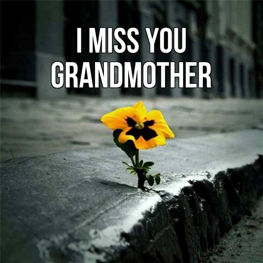 Greetings card с именем, grandmother I miss you надеюсь будет лучше Greetings with text for free download 