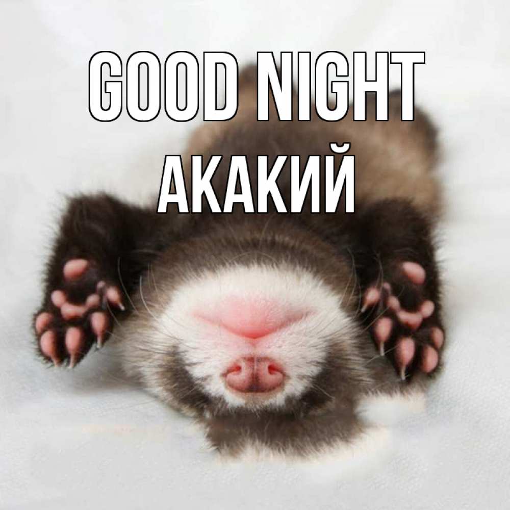 Greetings card с именем, Акакий Good night зверек Greetings with text for free download 