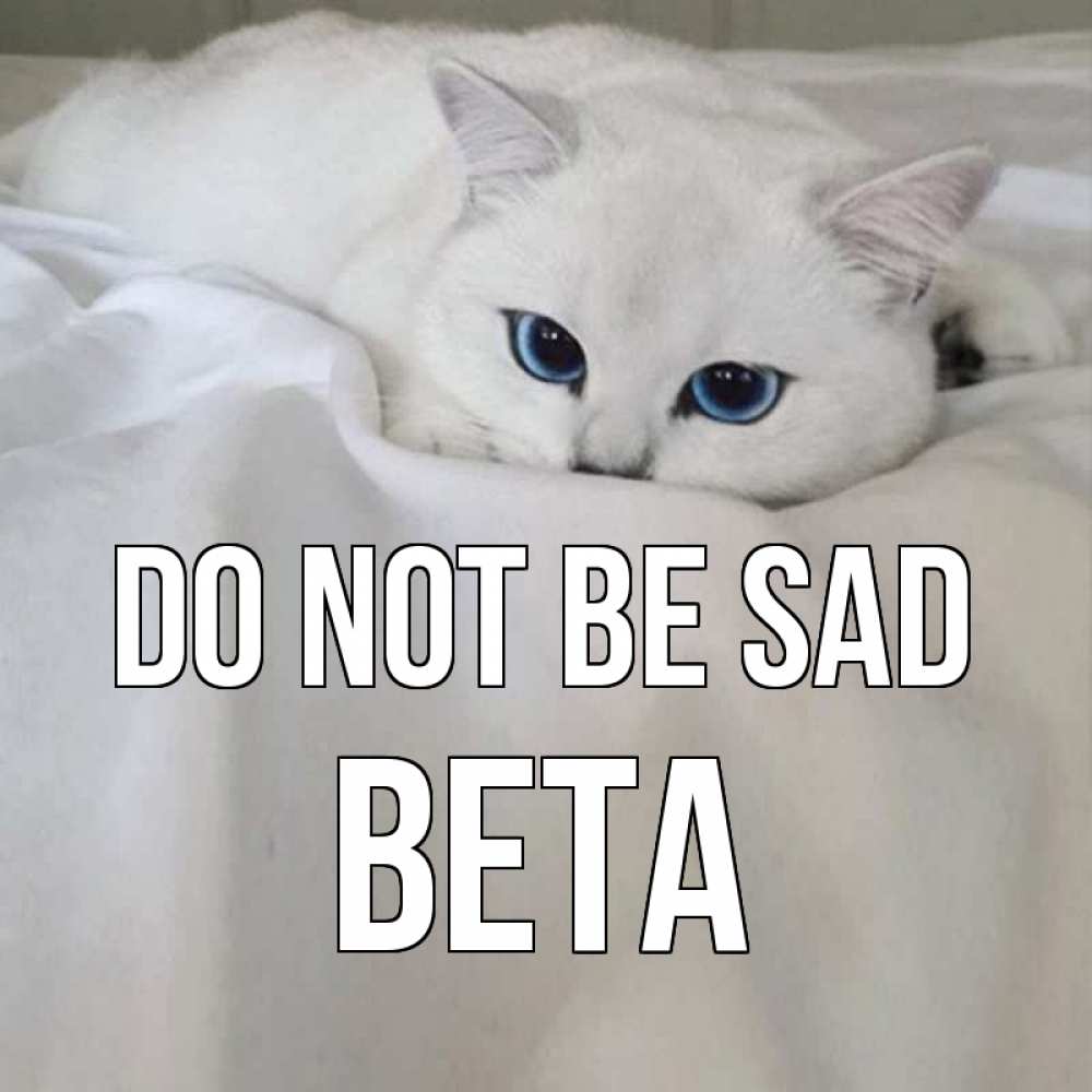 Greetings card с именем, Вета Do not be sad белый кот с голубыми глазами на белоснежной кровати Greetings with text for free download 