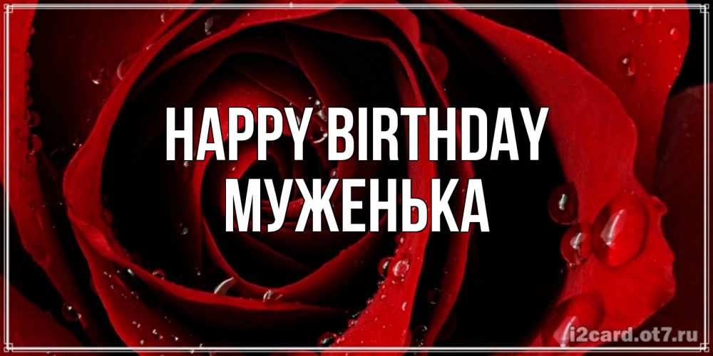 Greetings card с именем, Муженька Happy Birthday крупная бордовая роза Greetings with text for free download 