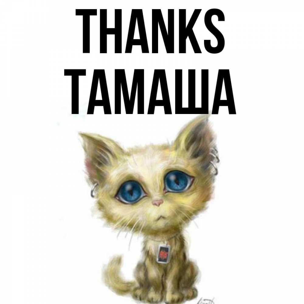 Greetings card с именем, ТАМАША Thanks рисованный кот благодарит вас Greetings with text for free download 