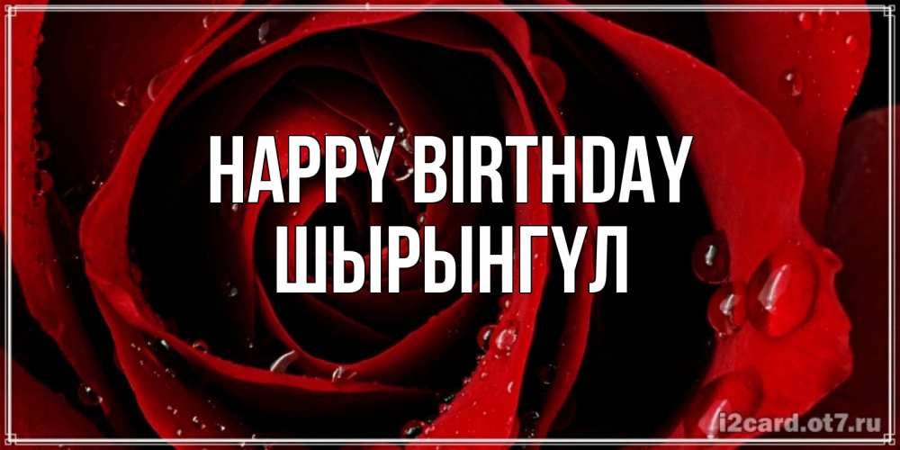 Greetings card с именем, ШЫРЫНГҮЛ Happy Birthday крупная бордовая роза Greetings with text for free download 