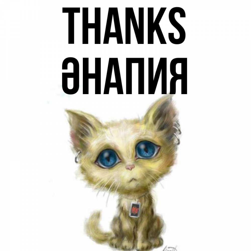 Greetings card с именем, ӘНАПИЯ Thanks рисованный кот благодарит вас Greetings with text for free download 