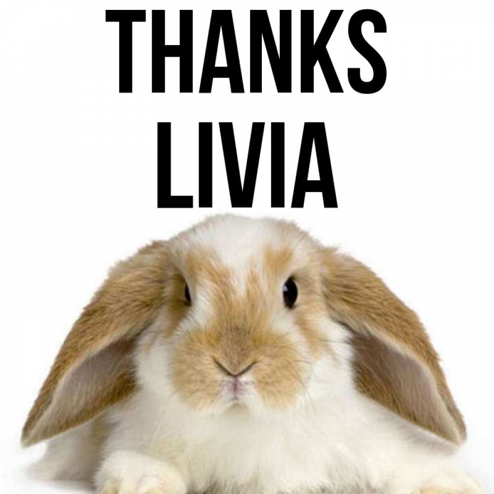 Greetings card с именем, Livia Thanks коричнево белый заяц Greetings with text for free download 