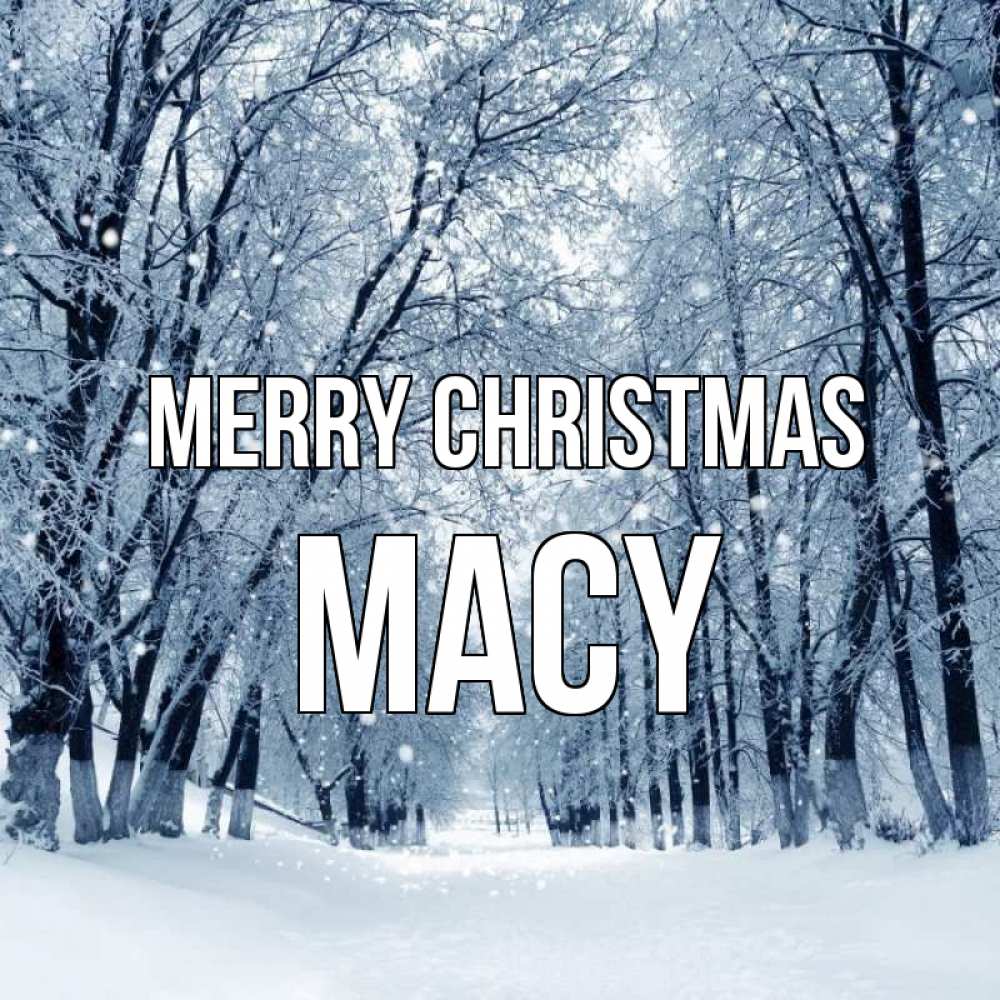 Greetings card с именем, Macy Merry Christmas снег, лес, парк Greetings with text for free download 