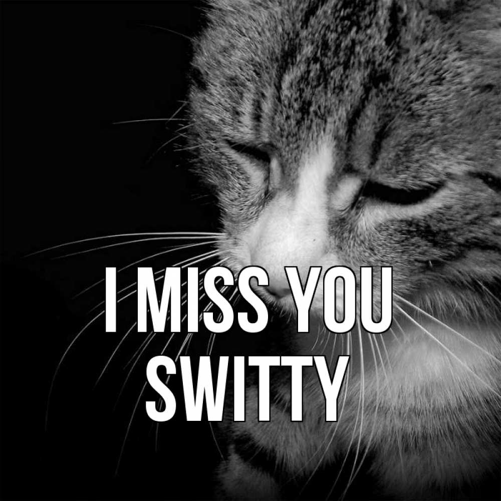 Greetings card с именем, switty I miss you мне скучно Greetings with text for free download 
