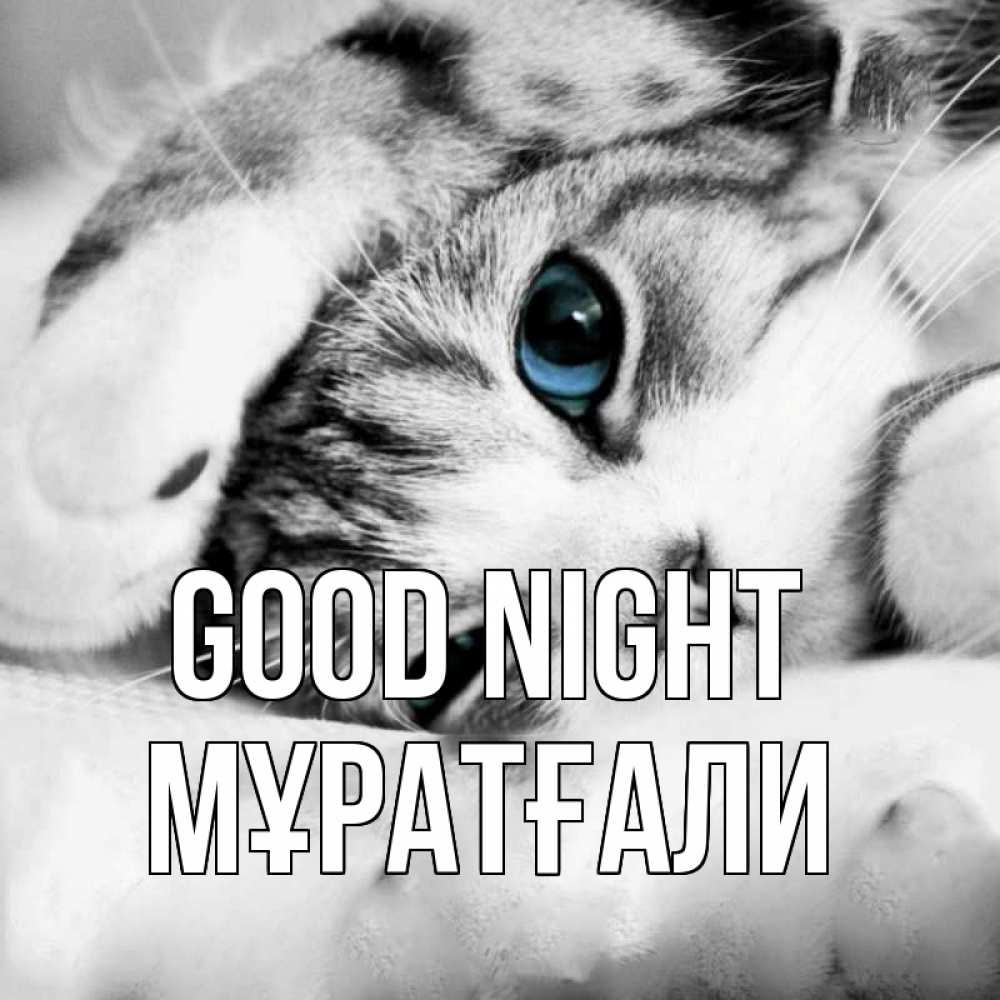 Greetings card с именем, Мұратғали Good night кот устал Greetings with text for free download 