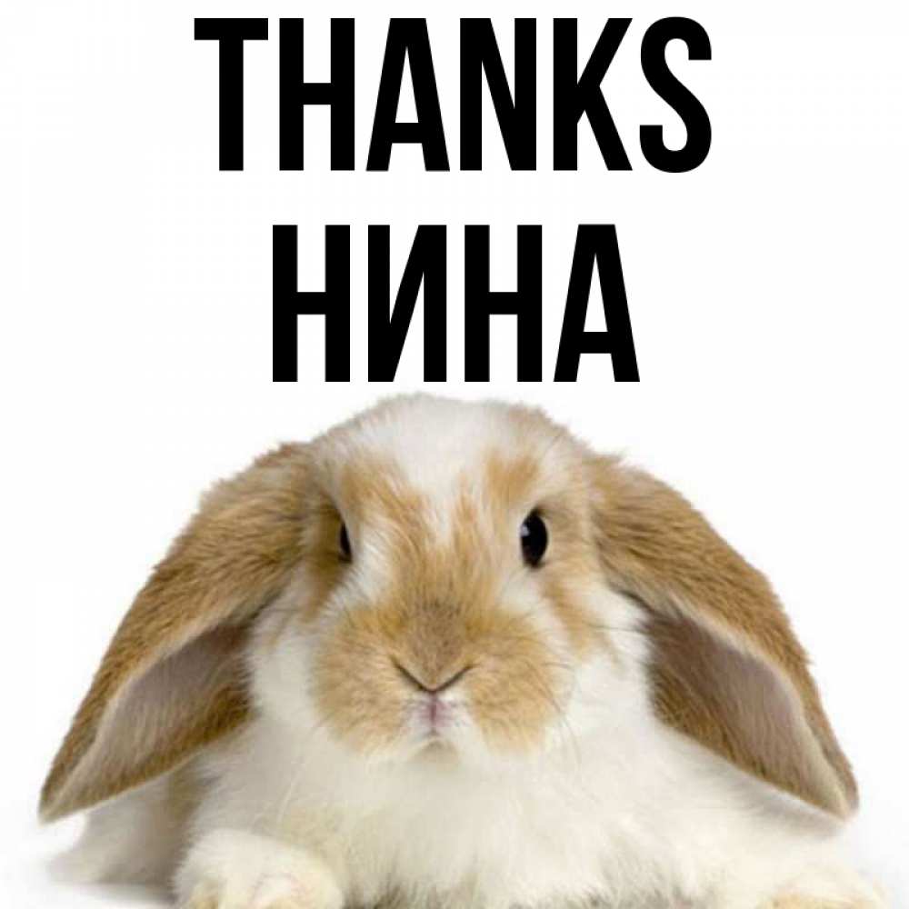 Greetings card с именем, Нина Thanks коричнево белый заяц Greetings with text for free download 