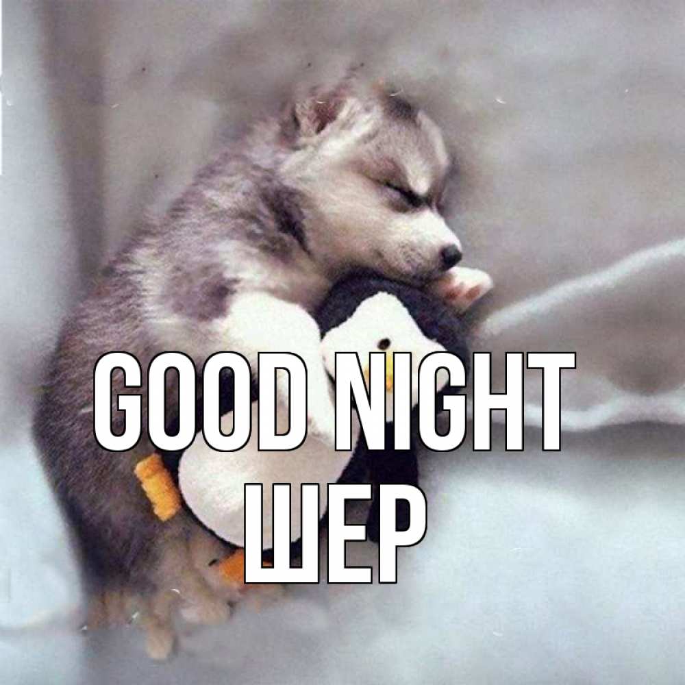 Greetings card с именем, ШЕР Good night обнимашки щенка и пингвина Greetings with text for free download 