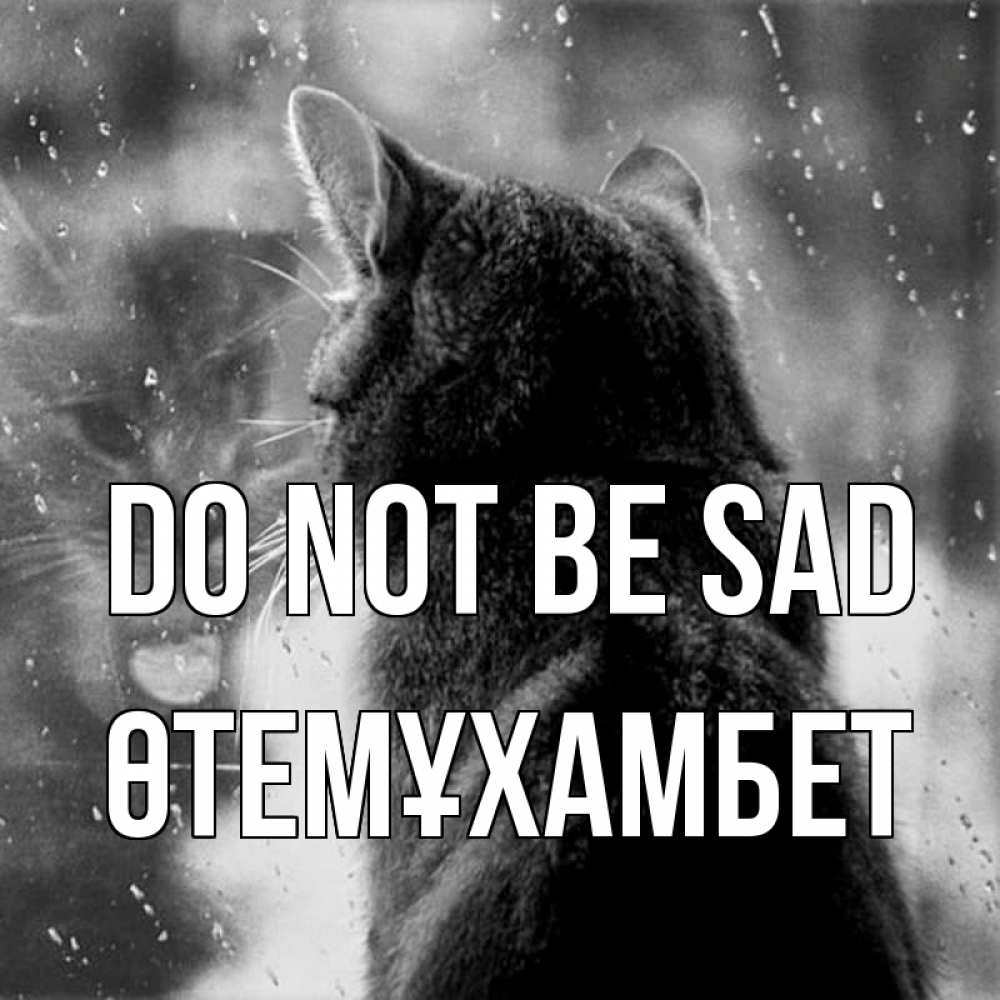 Greetings card с именем, ӨТЕМҰХАМБЕТ Do not be sad отражение кота 1 Greetings with text for free download 