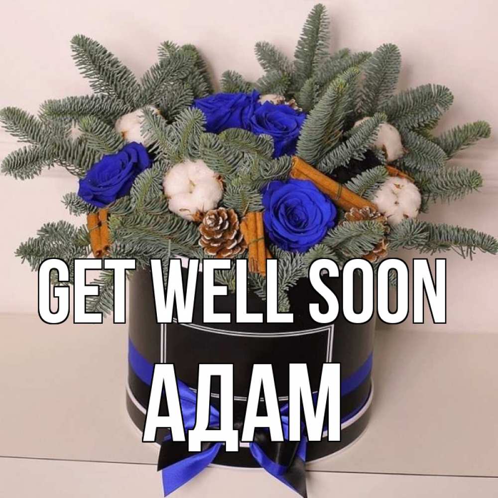 Greetings card с именем, Адам Get well soon короче кто то загрузил эти шишки Greetings with text for free download 