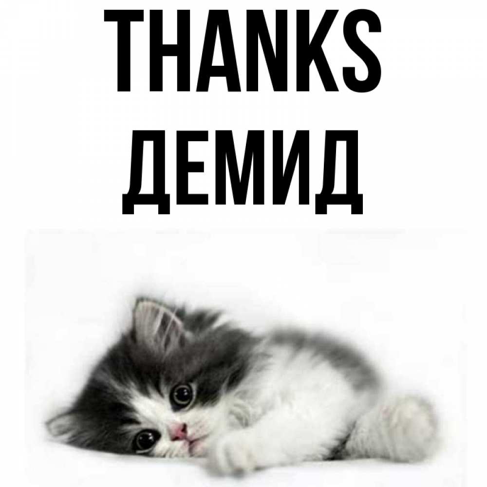 Greetings card с именем, Демид Thanks черный и белый кот Greetings with text for free download 