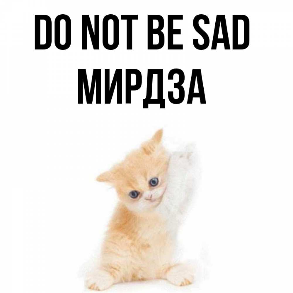 Greetings card с именем, Мирдза Do not be sad просящий кот Greetings with text for free download 