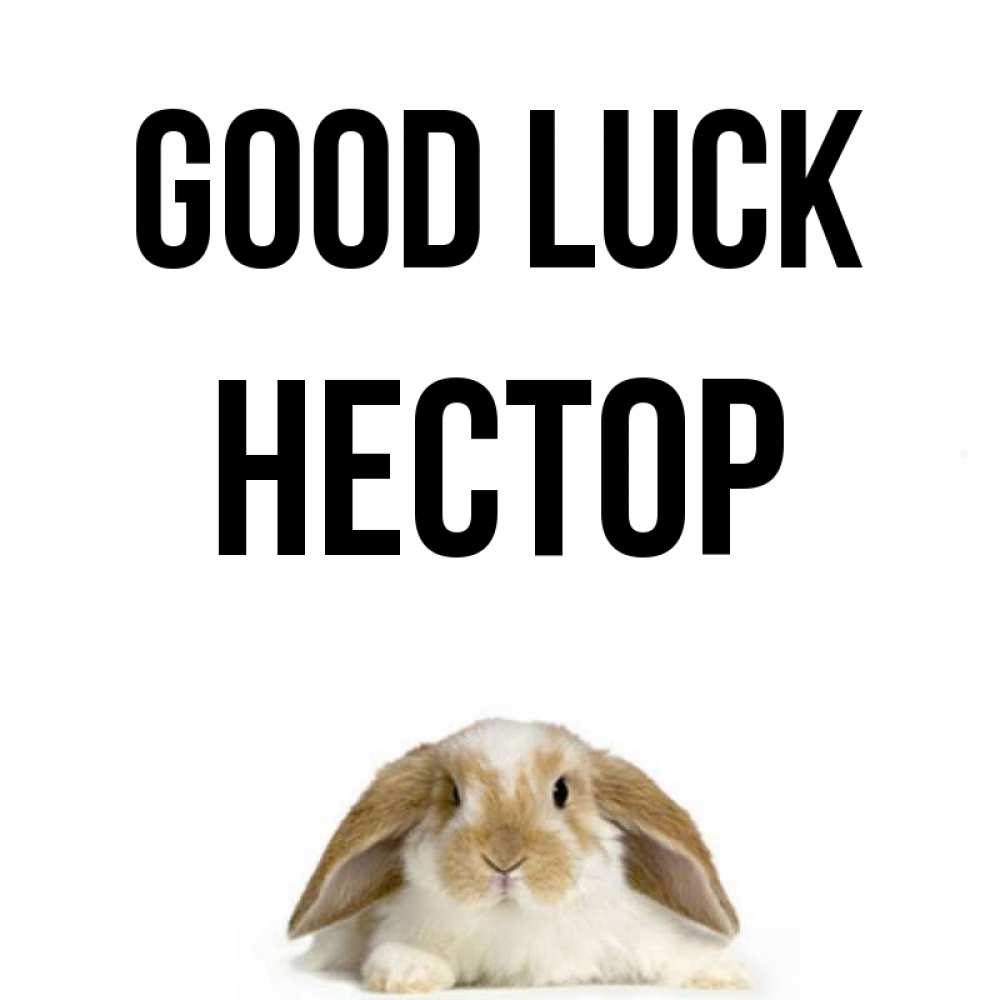 Greetings card с именем, Нестор Good luck открытки с произвольным текстом который можно вставить в открытку и создать ее самостоятельно бесплатно онлайн Greetings with text for free download 