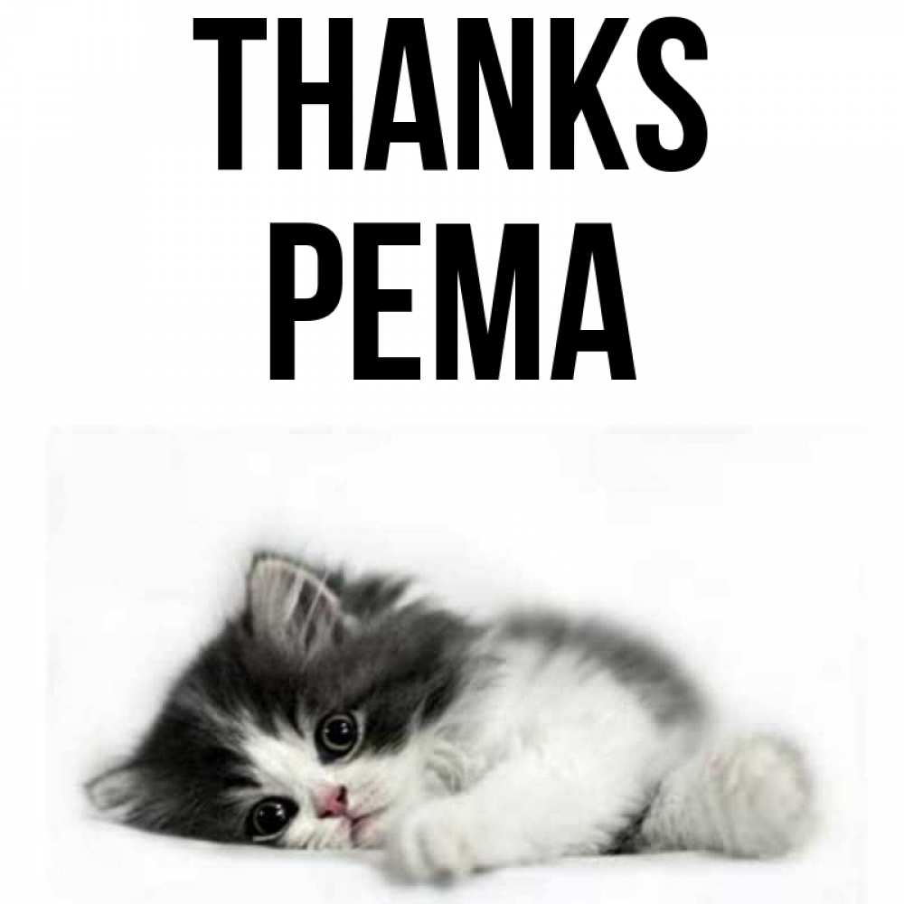 Greetings card с именем, Рема Thanks черный и белый кот Greetings with text for free download 