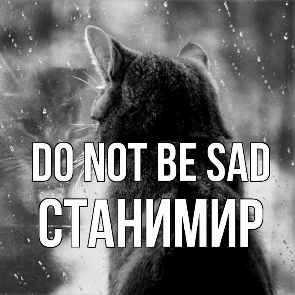 Greetings card с именем, Станимир Do not be sad отражение кота 1 Greetings with text for free download 