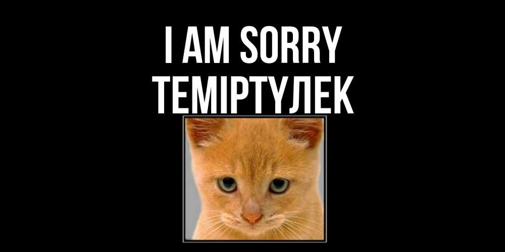Greetings card с именем, ТЕМІРТҮЛЕК I am sorry рыжий грустный кот просит прощения Greetings with text for free download 