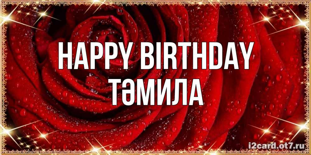Greetings card с именем, ТӘМИЛА Happy Birthday роса на розе блестящая в лучах солнца Greetings with text for free download 