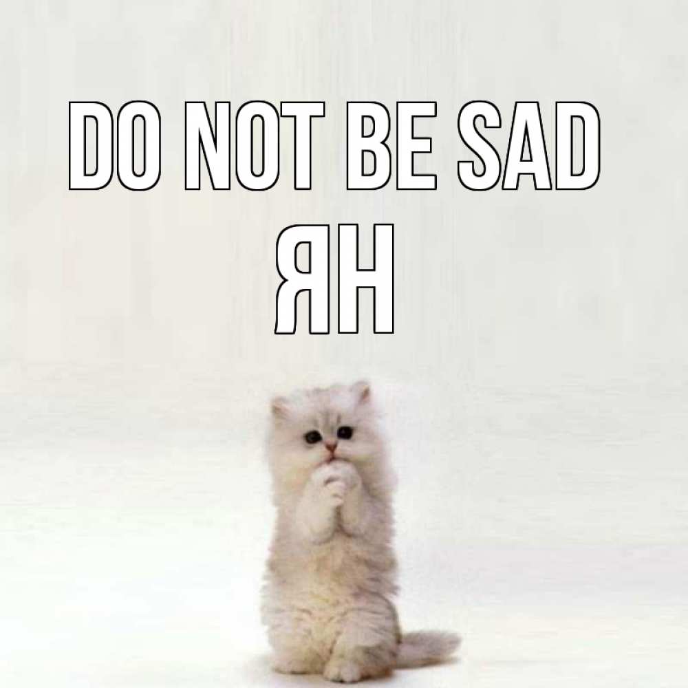 Greetings card с именем, Ян Do not be sad грустный кот Greetings with text for free download 
