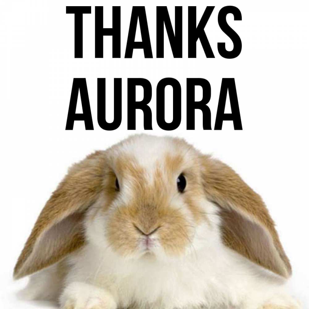 Greetings card с именем, Aurora Thanks коричнево белый заяц Greetings with text for free download 