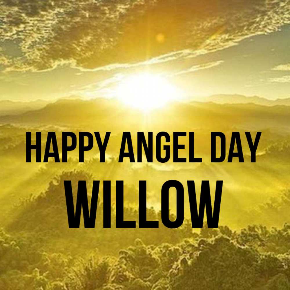 Greetings card с именем, Willow happy angel day леса и небо в желтом Greetings with text for free download 