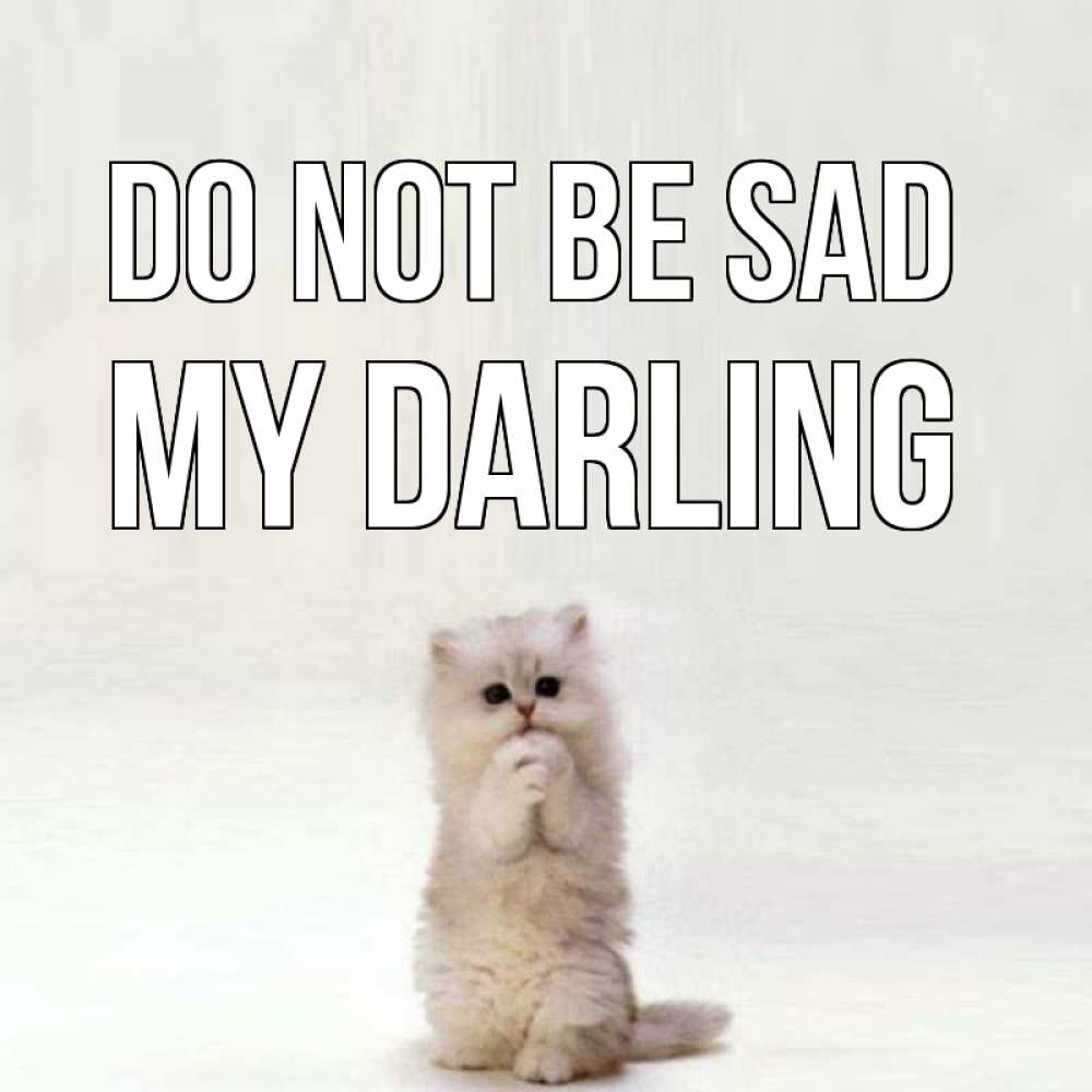 Greetings card с именем, my-darling Do not be sad грустный кот Greetings with text for free download 